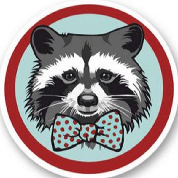 Круглый значок енота