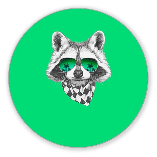 Енот в очках