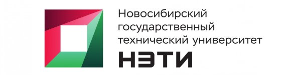 Факультет бизнеса НГТУ лого