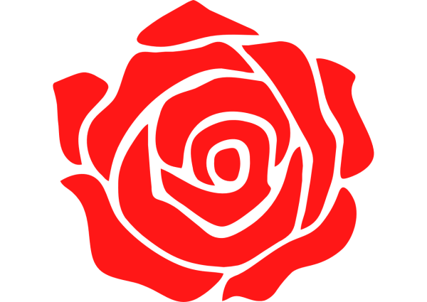 Роза логотип
