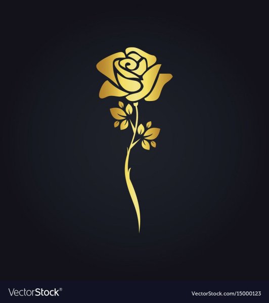 Роза Минимализм