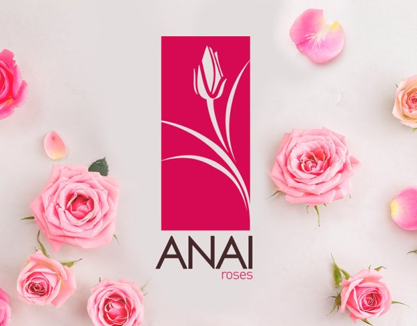 Роза логотип