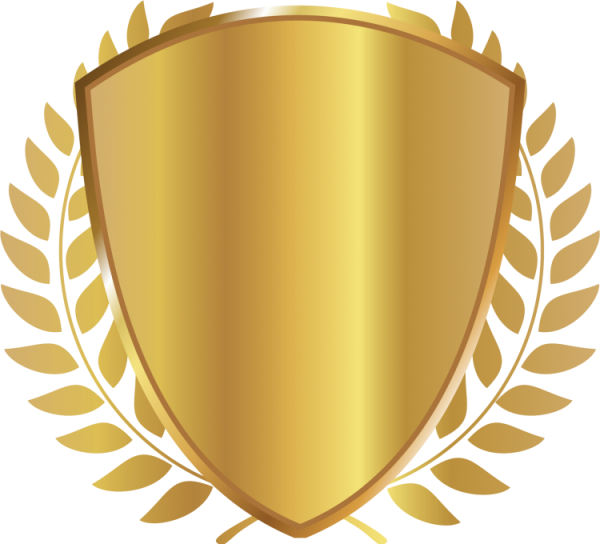 Щит на прозрачном фоне