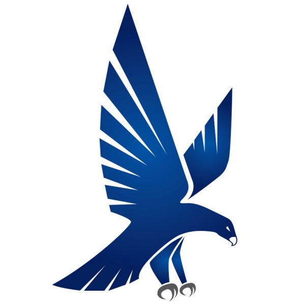 Логотип команды Сокол