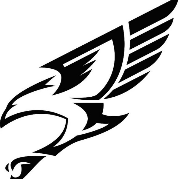 Сокол символика