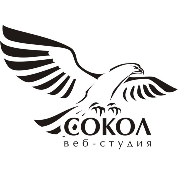 Логотип с изображением Сокола