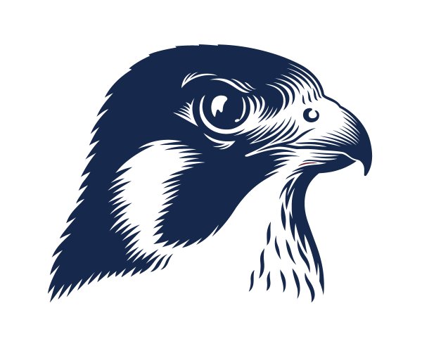 Голова Сокола