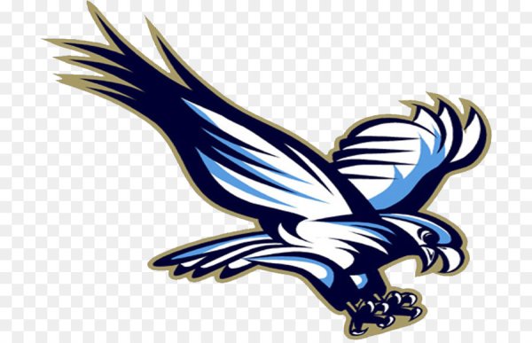 Логотип команды Сокол