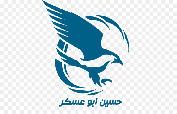 Сокол класс лого