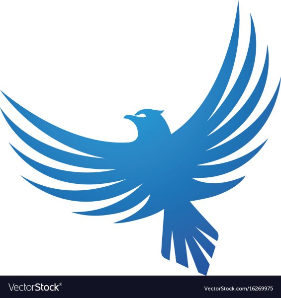 Красивые логотипы птиц