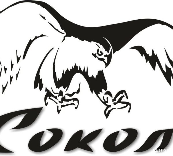 Наклейка Сокол
