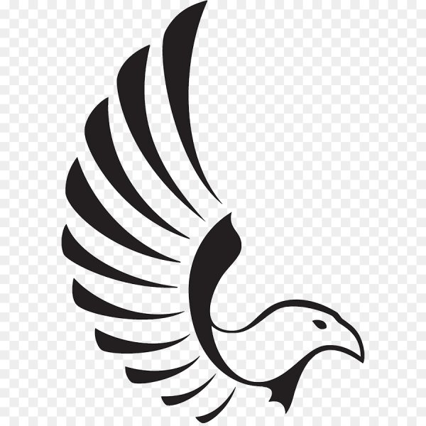 ЗАО Сокол АТС