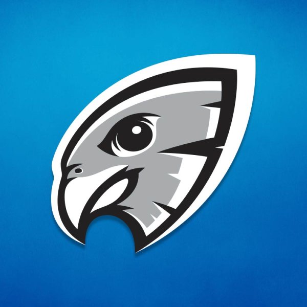 Фалькон логотип