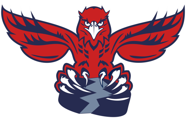 Сокол хоккейный клуб лого