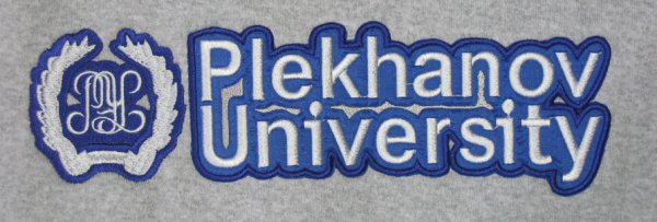 Лицей РЭУ лого