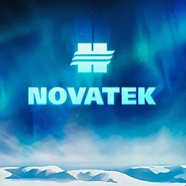 Новатек логотип