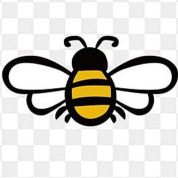 Пчела вектор