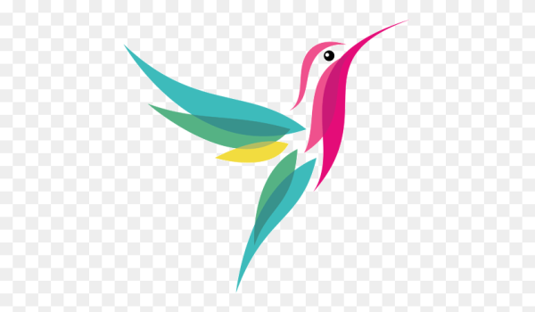 Колибри цветная для логотипа