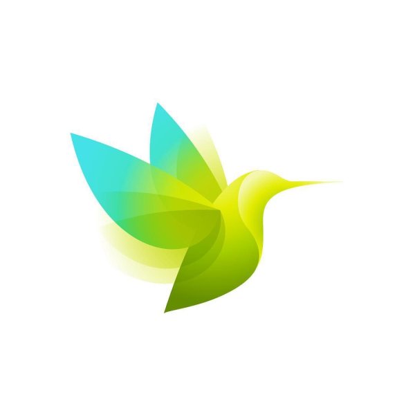 Логотип Колибри на прозрачном фоне