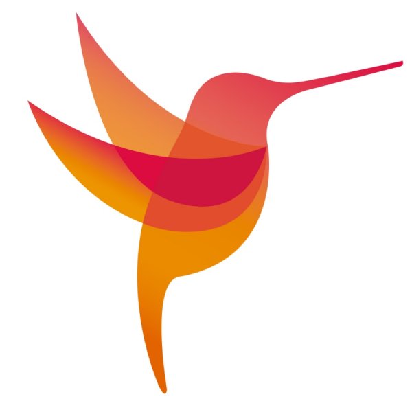 Колибри вектор