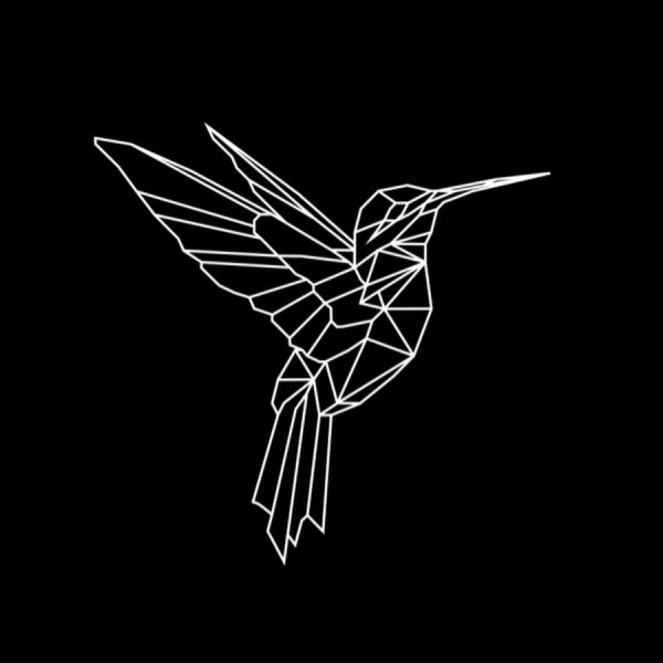 Колибри Минимализм