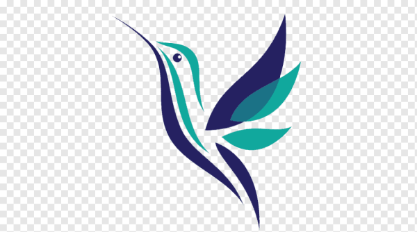 Колибри вектор