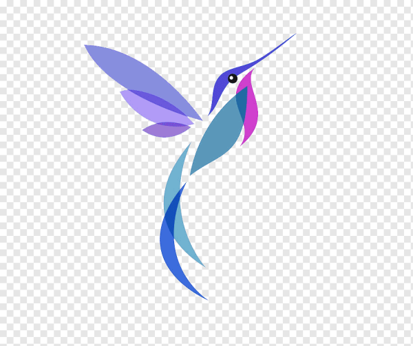 Колибри символ