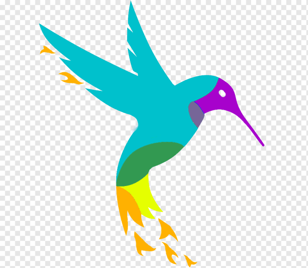 Птица Колибри логотип