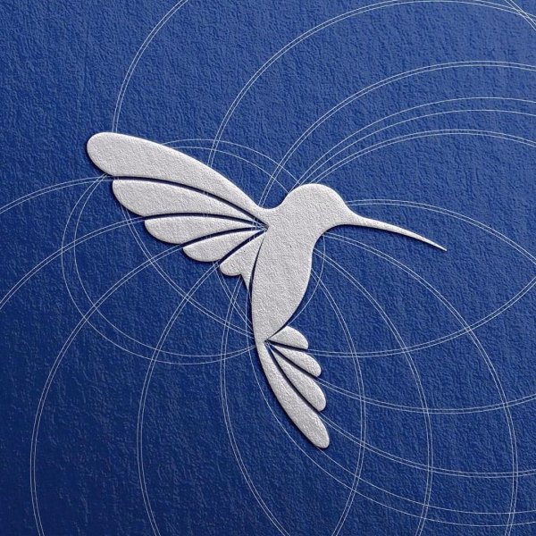 Колибри символ