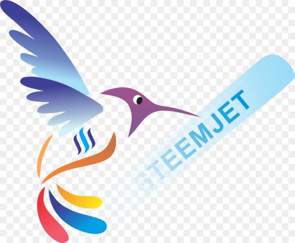 Красивые логотипы Колибри