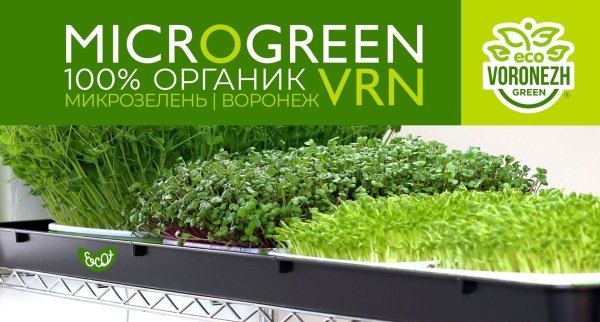 Микрозелень реклама