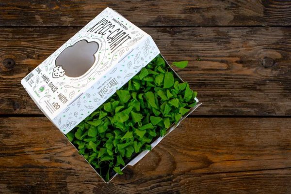 РУСЭКО микрозелень