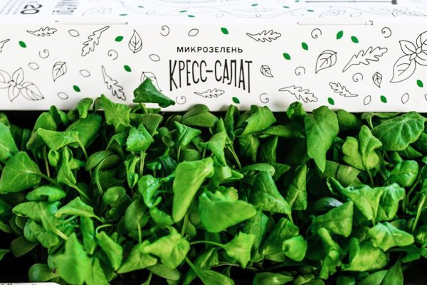 Микрозелень этикетка