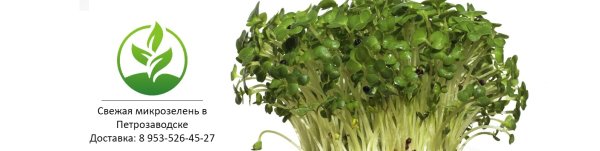 Микрозелень Петрозаводск