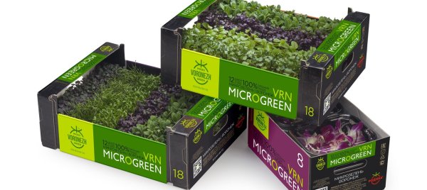 Микрозелень упаковка