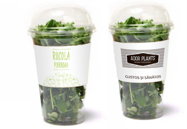 Этикетка для зелени