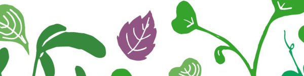 Микрозелень вектор