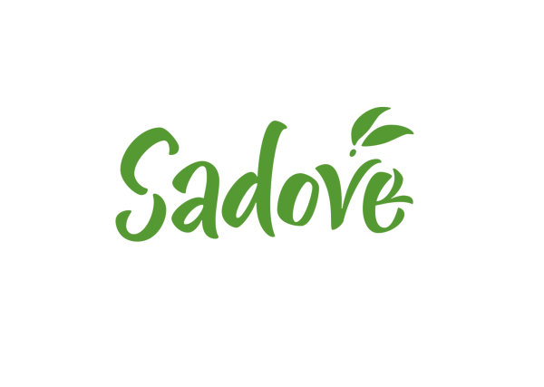 Каждый день логотип