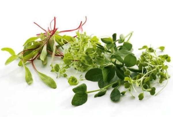 Микрозелень ассорти