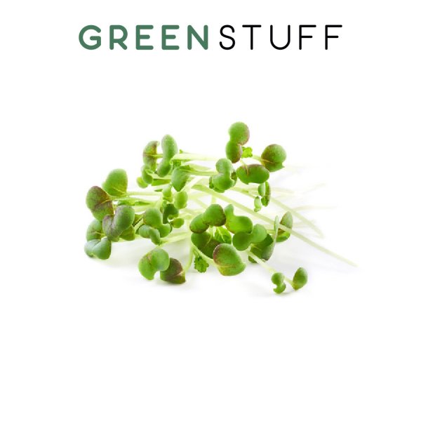 Горчица красная микрозелень