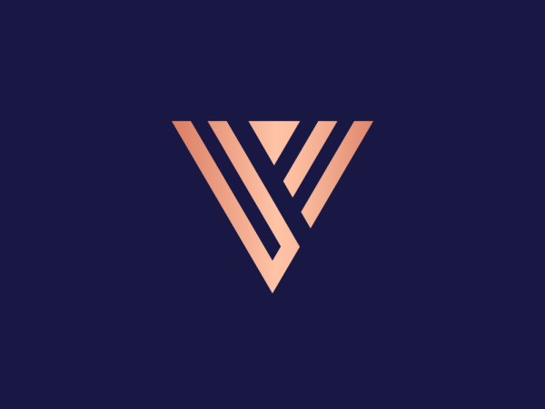 V Letter logo