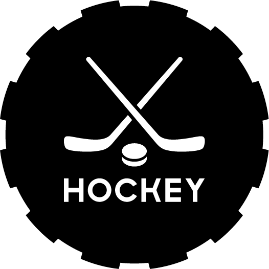 Хоккейные винилы