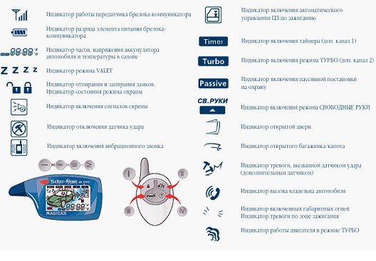 Синий тигр Шерхан
