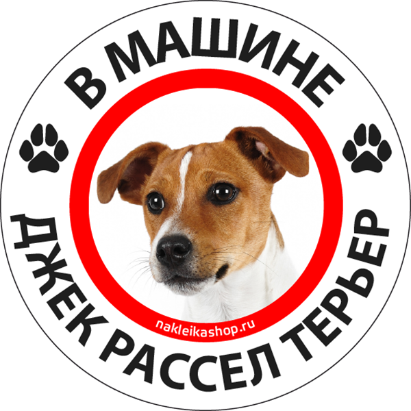 Этикетка Джек Дэниэлс виски для мыла