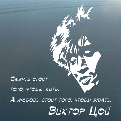 Цой логотип