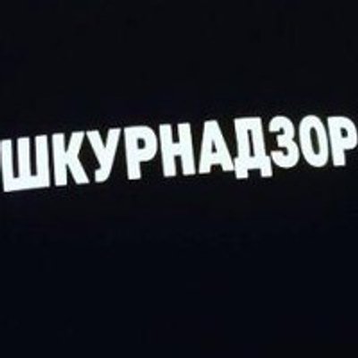 ШКУРНАДЗОР машина