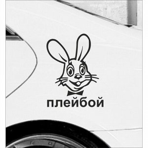 Раскраска плейбой