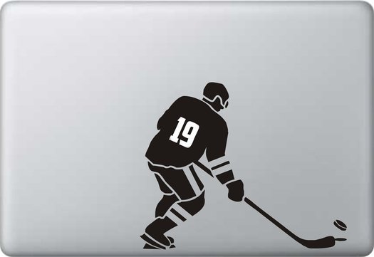 Лев хоккеист