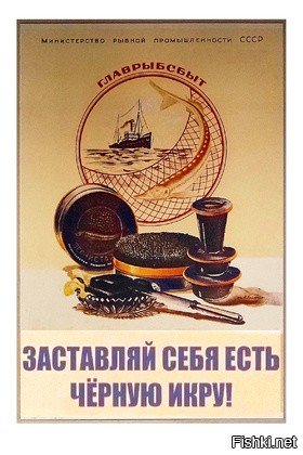 Советские плакаты про черную икру