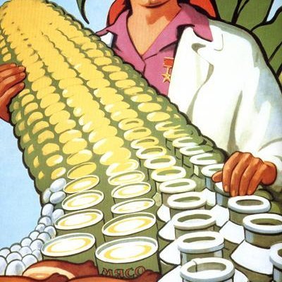 Кукуруза СССР Хрущев